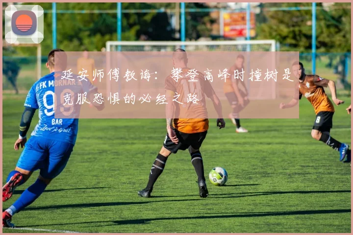 延安师傅教诲：攀登高峰时撞树是克服恐惧的必经之路