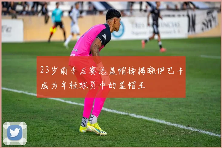 23岁前季后赛总盖帽榜揭晓伊巴卡成为年轻球员中的盖帽王